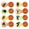 Puppy_Group-1 Contact Lens Case Dog Design
