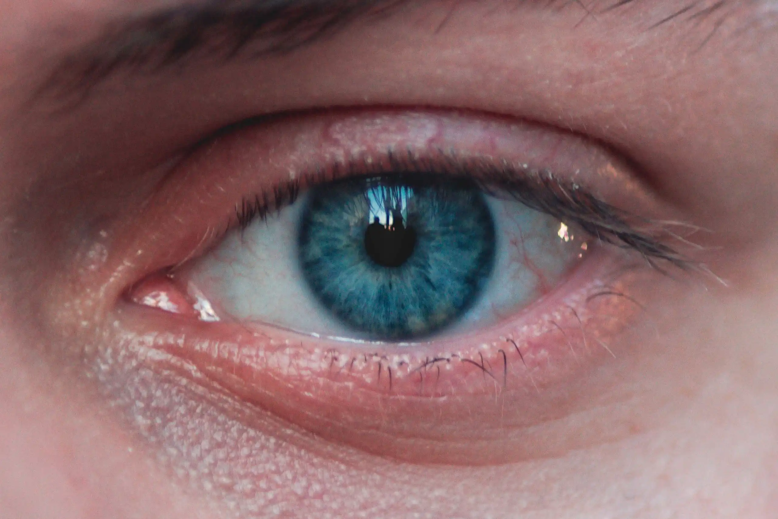 Detailed close-up view of a human blue eye showcasing eyelashes and skin texture.
